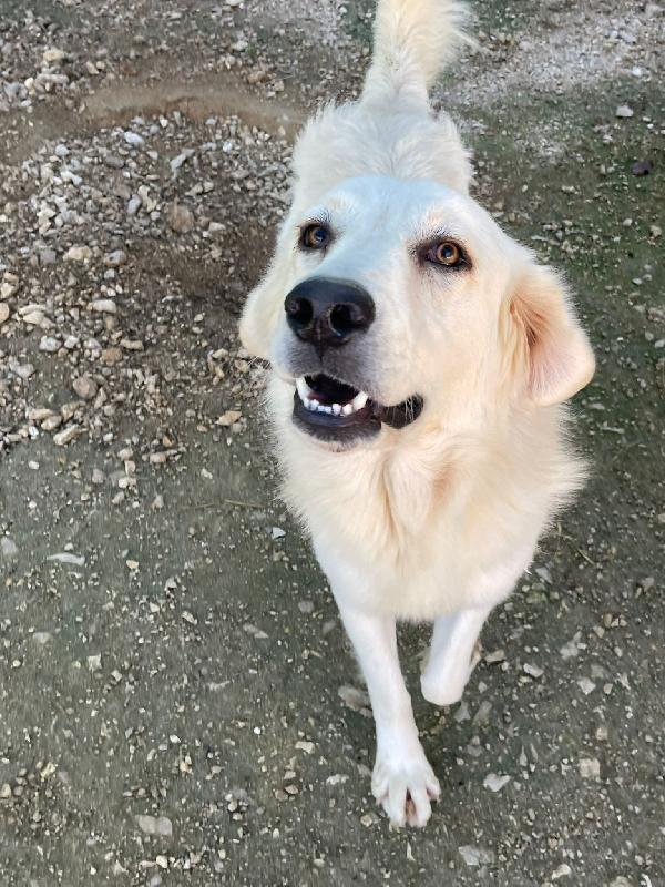 IL TENERO LUCKY Foto 5